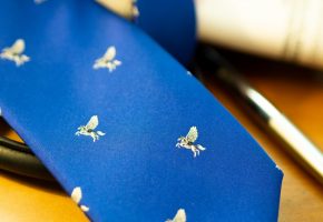 Traditional Pegasus Tie