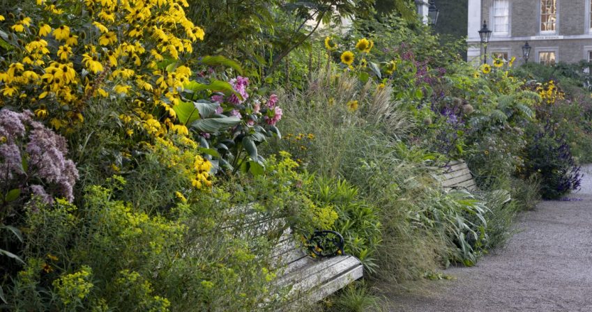 8-The-Highborder-in-late-summer